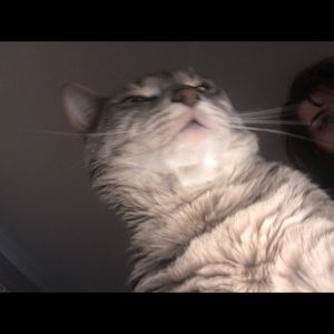 Meet your Posher, Channing